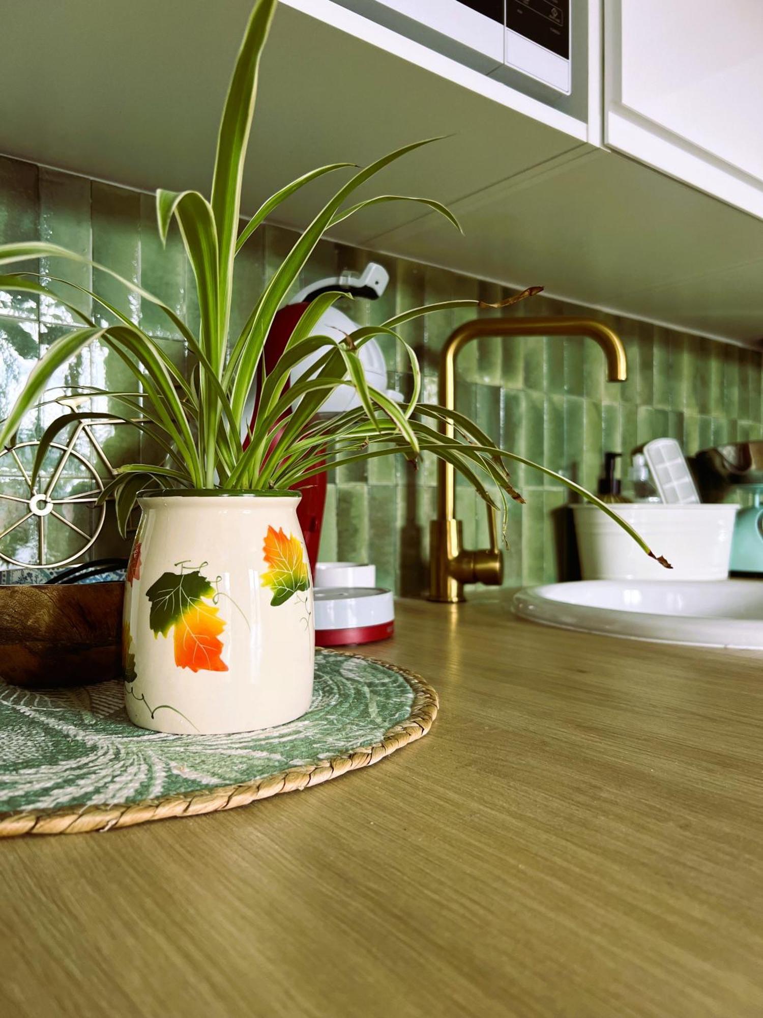 Appartement Nid Douillet 메르레뱅 외부 사진